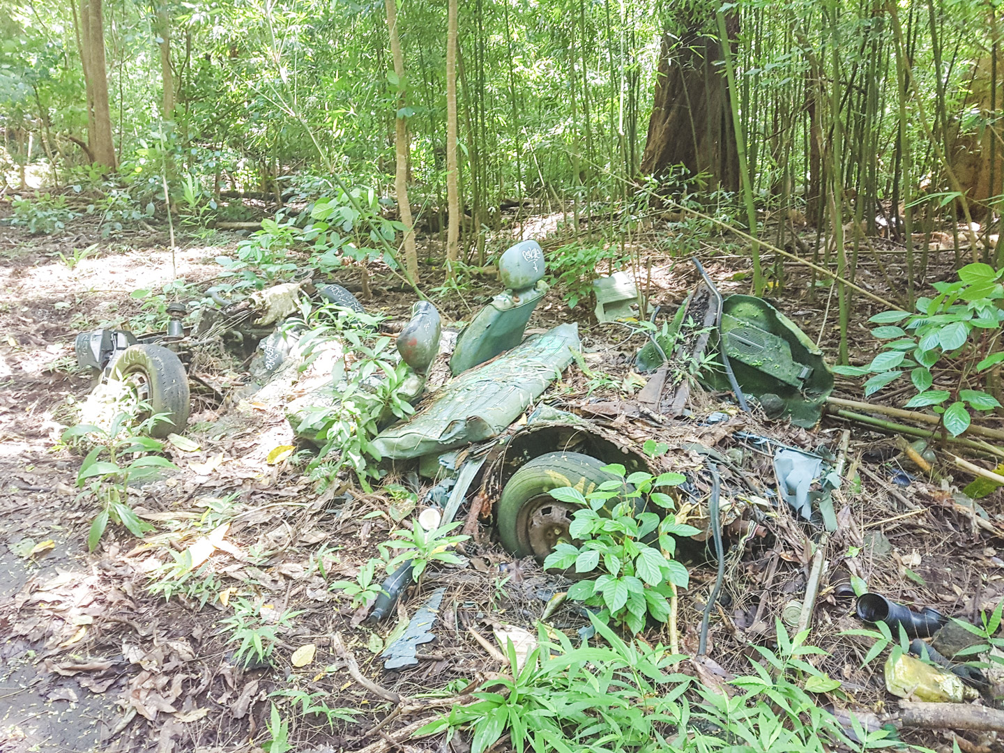 Oahu off the Beaten Path Kalihi Ice Ponds Hike