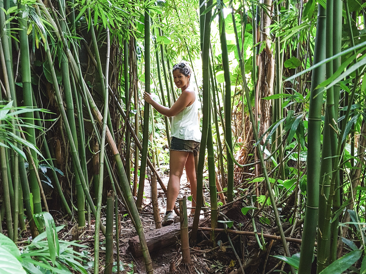 Oahu off the Beaten Path Kalihi Ice Ponds Hike 5