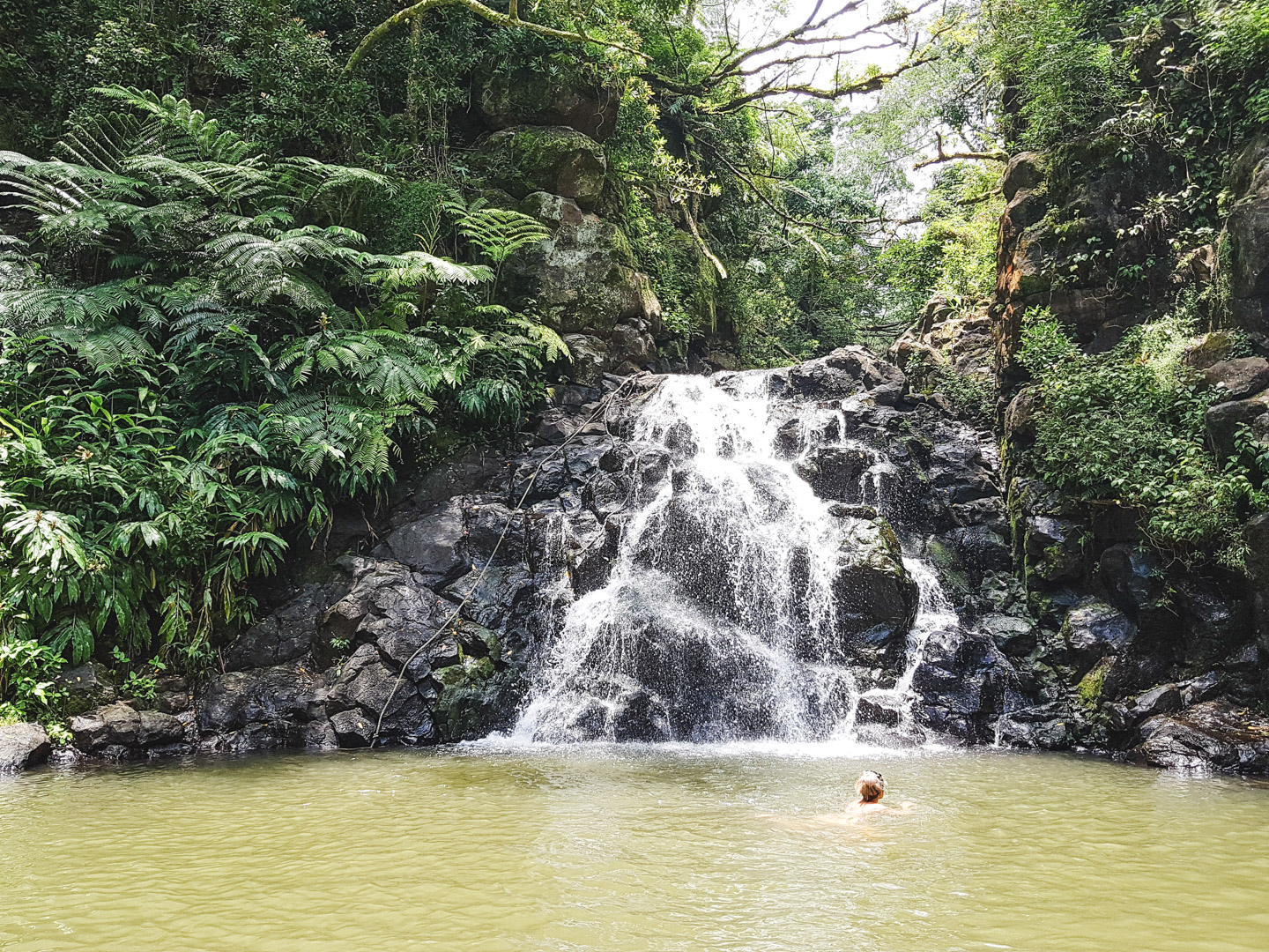 Oahu off the Beaten Path Kalihi Ice Ponds Swimming