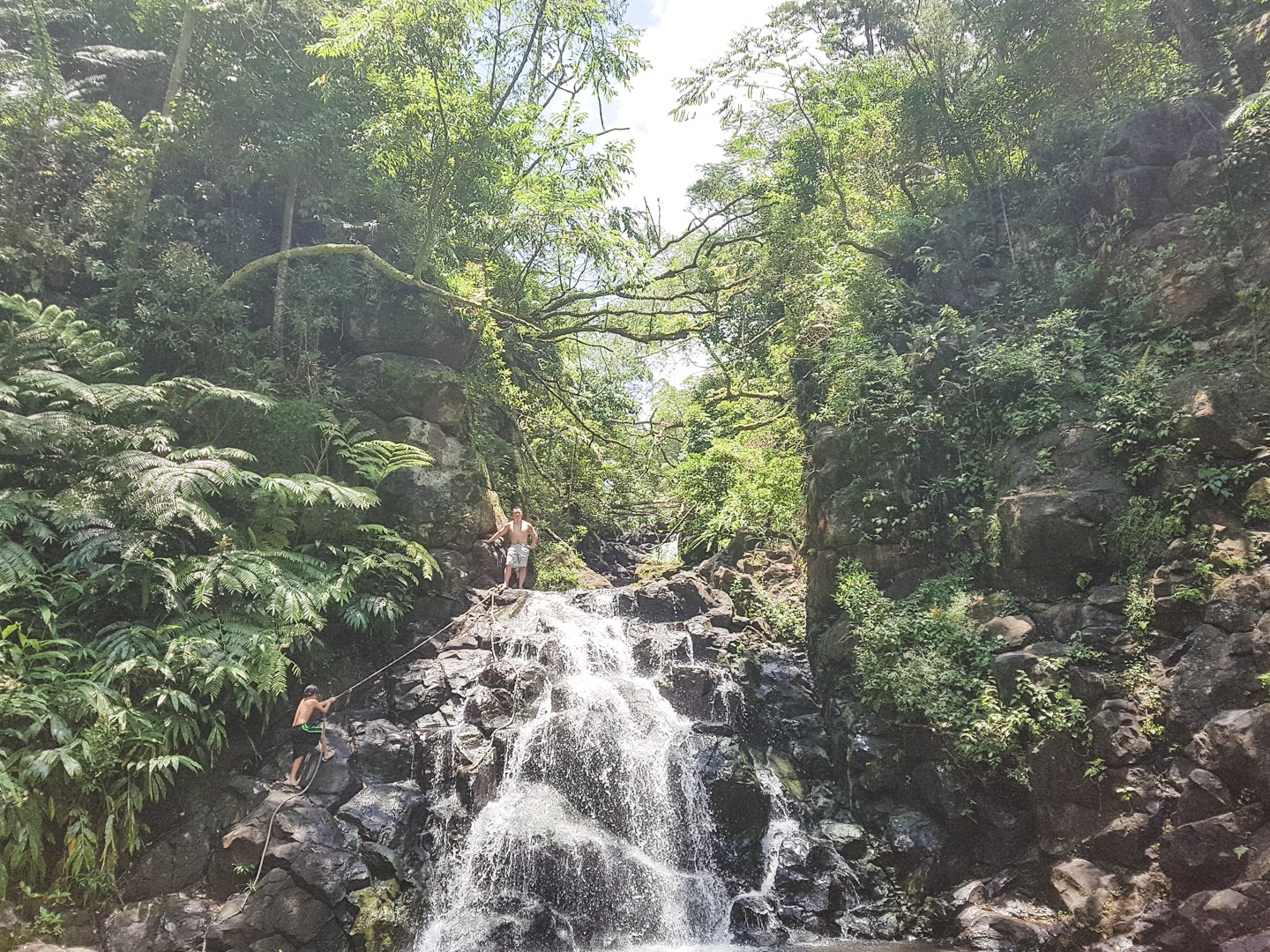 Oahu off the Beaten Path Kalihi Ice Ponds Swimming