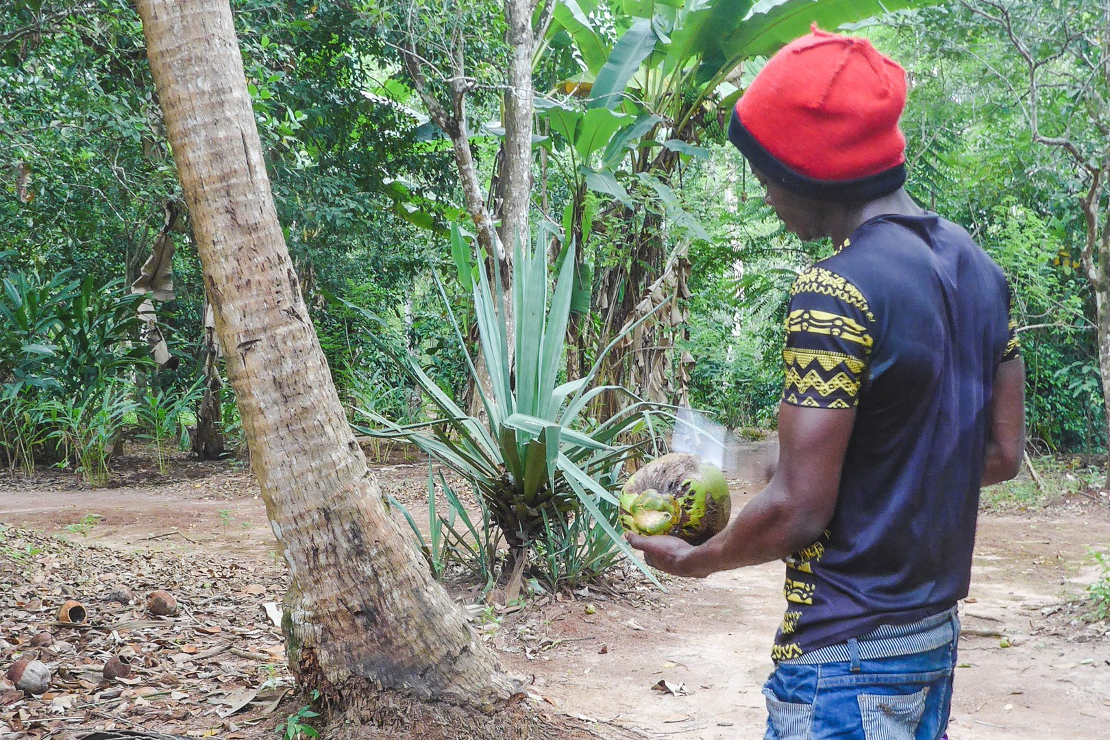 Fresh coconut on Zanzibar Spice Tour