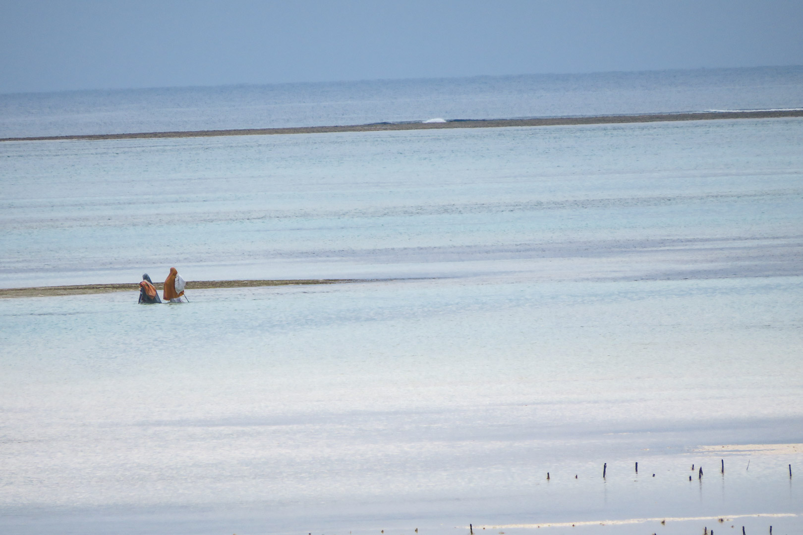 Seaweed farming in Pongwe