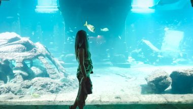 Aquariusm at Atlantis Resort on our Bahamas Babymoon