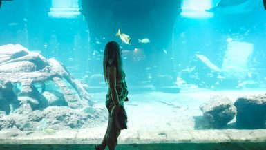 Aquariusm at Atlantis Resort on our Bahamas Babymoon