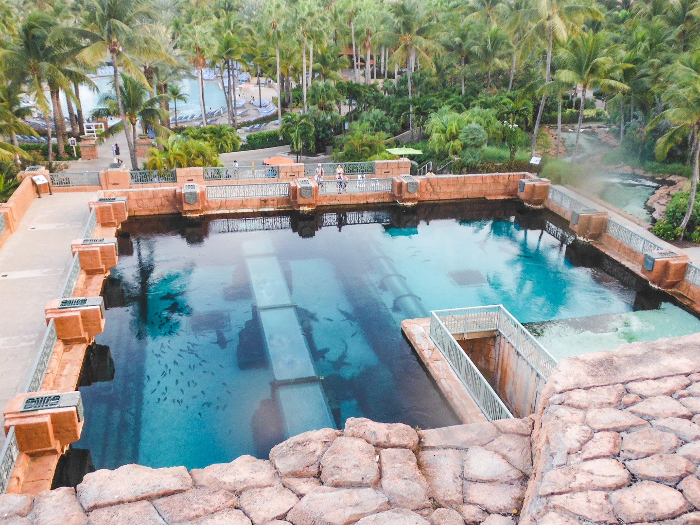 Aquaventure at Atlantis Bahamas