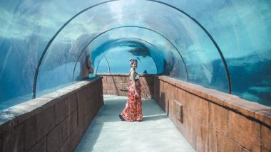 Predator Lagoon Tunnel at Atlantis Bahamas