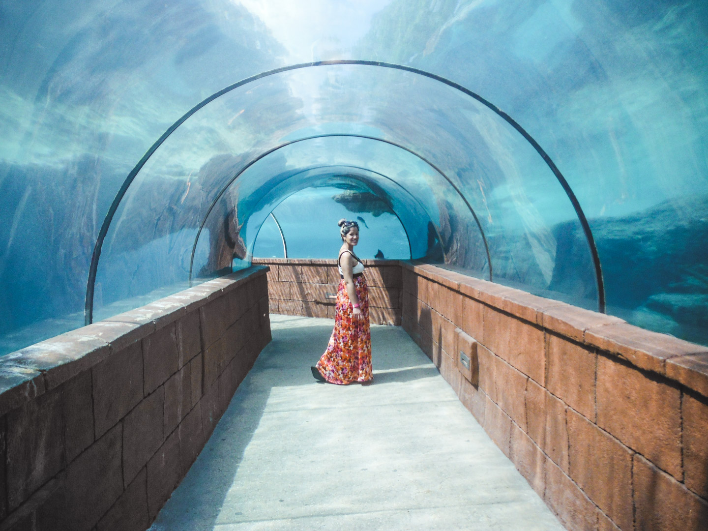 Predator Lagoon Tunnel at Atlantis Bahamas