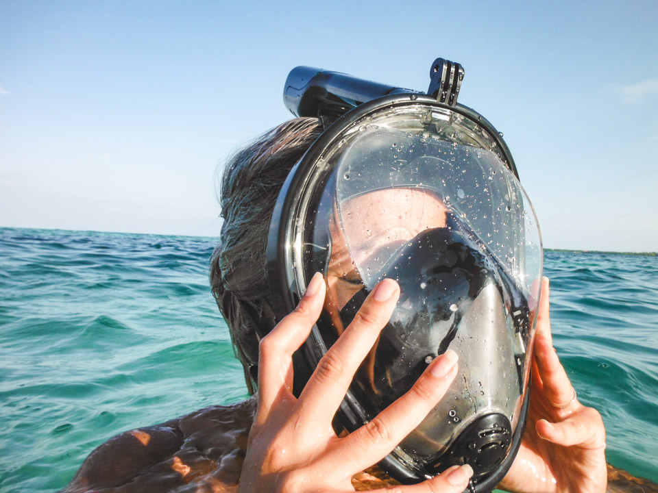 Full face snorkel mask