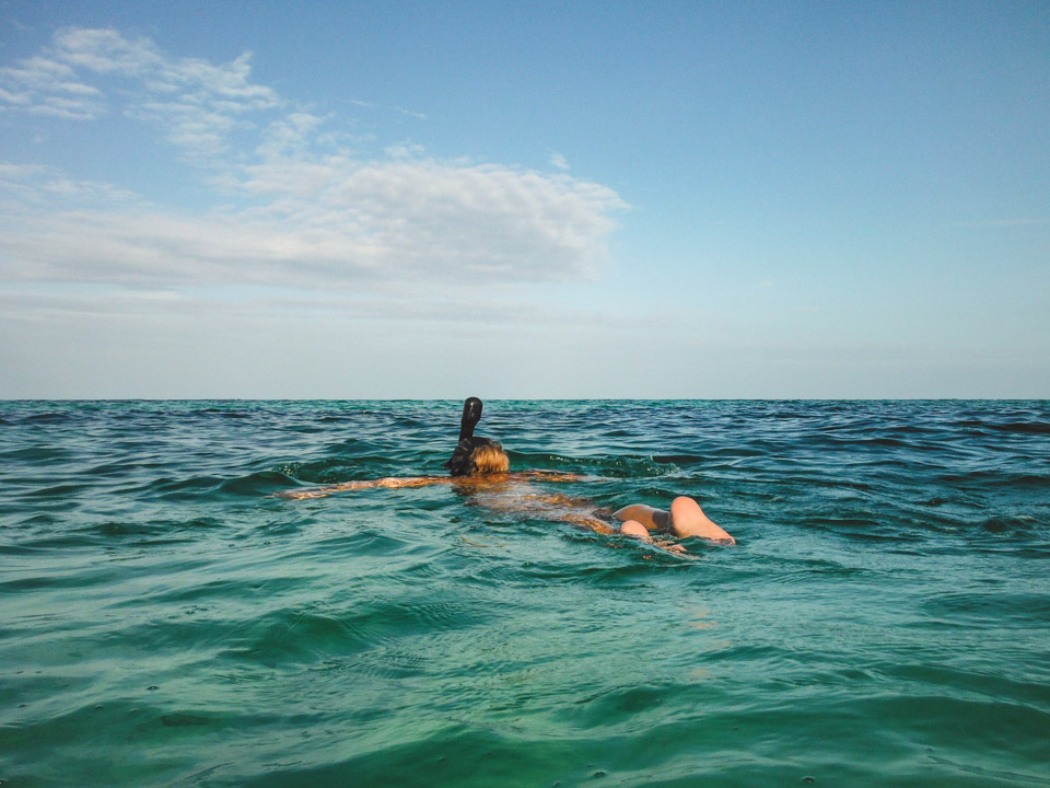 Snorkeling in Pongwe