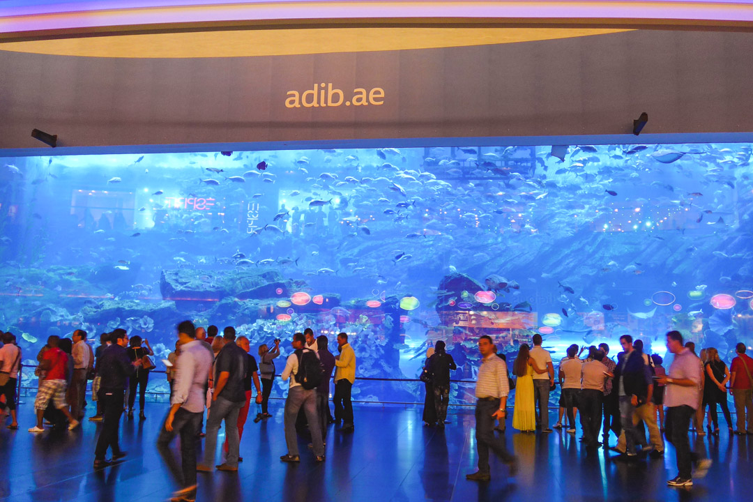 Dubai Mall Aquarium