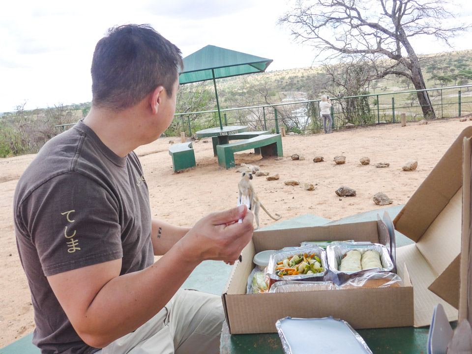 Tanzania Itinerary Picnic