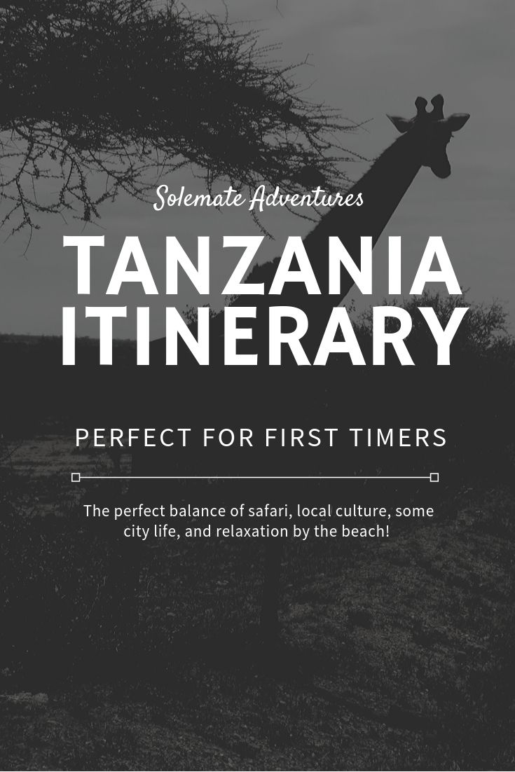 Our 12 day Tanzania itinerary is the perfect balance of safari, local culture, some city life, and relaxation in Zanzibar!