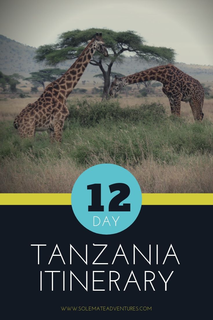 Our 12 day Tanzania itinerary is the perfect balance of safari, local culture, some city life, and relaxation in Zanzibar!