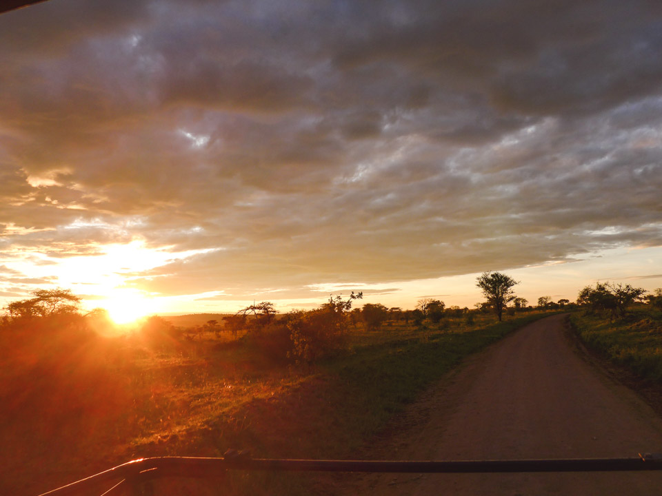 Tanzania Itinerary Sunrise Game Drive