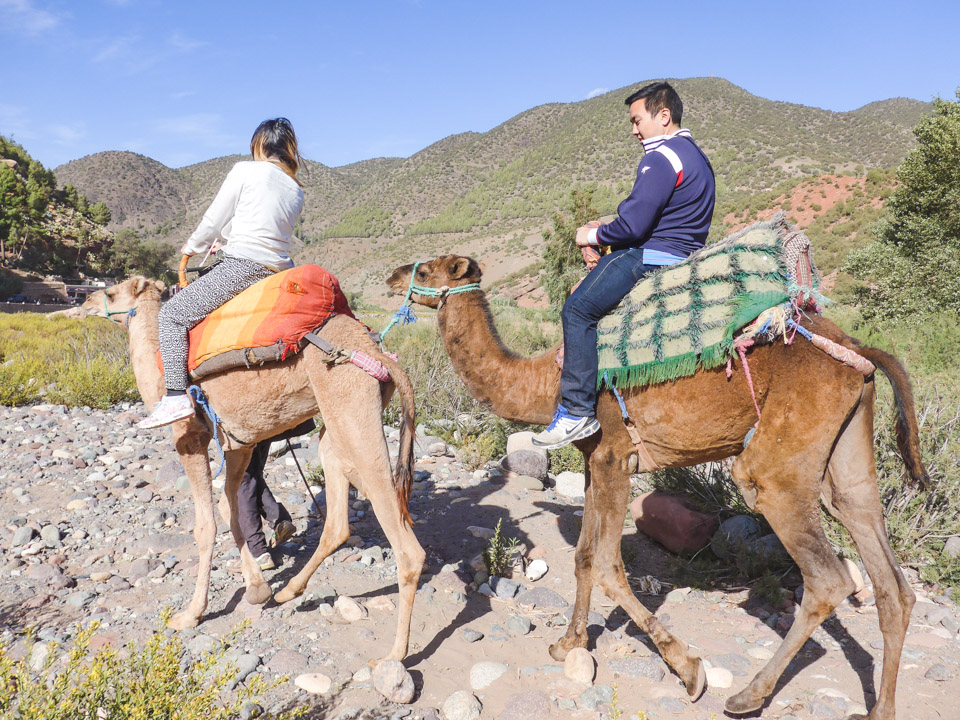 Camel Ride near Marrakech