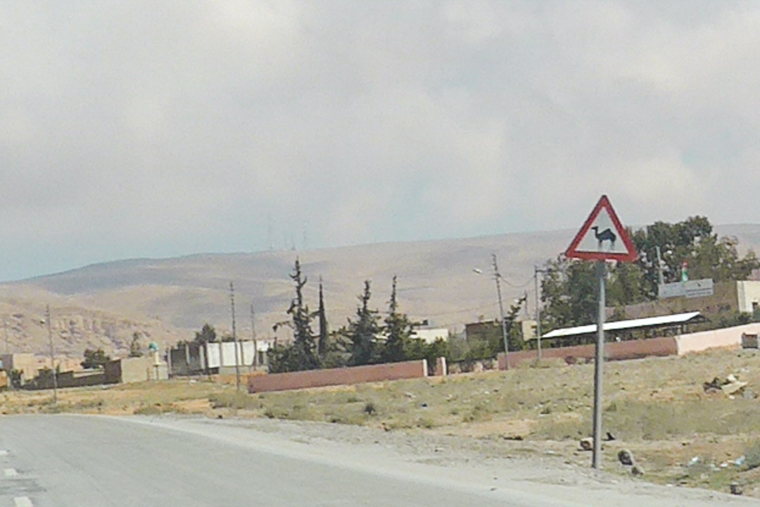 Camel Sign in Jordan
