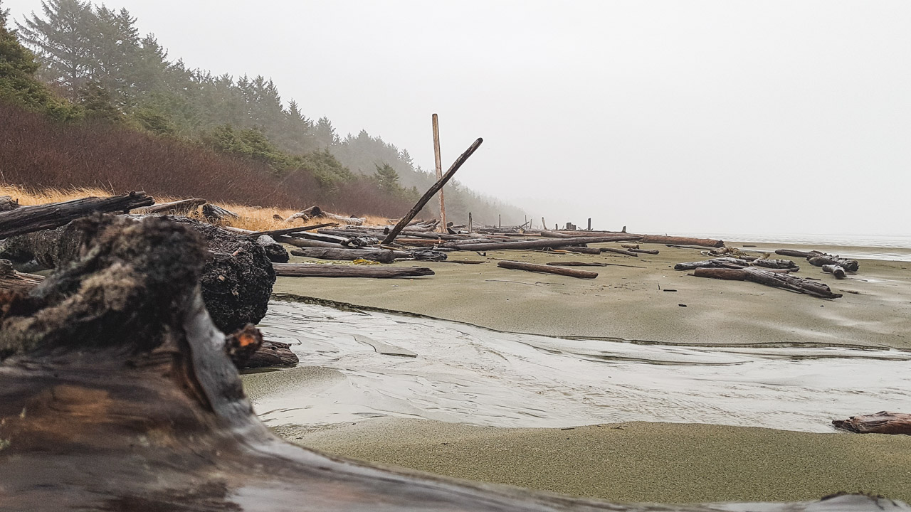 Driftwood in Tofino in Winter