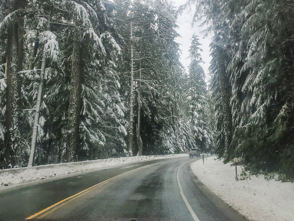 Driving to Tofino in Winter