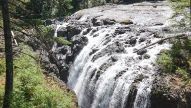 Driving from Victoria to Tofino is a classic Vancouver Island road trip. Here's our favorite stops along the way for an awesome itinerary!