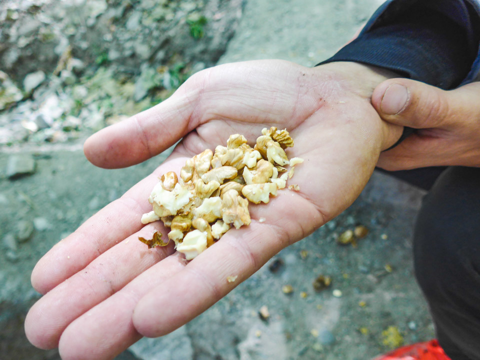 Fresh Walnuts in Imlil