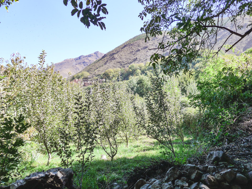 Hiking in Imlil