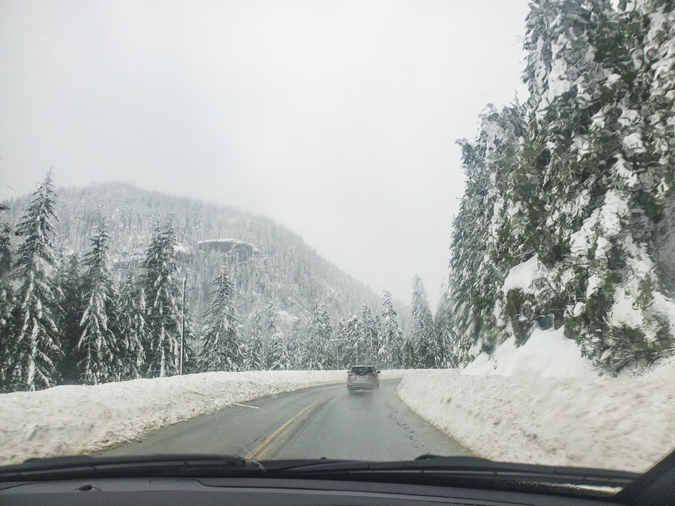 Snow on the way to Tofino in Winter
