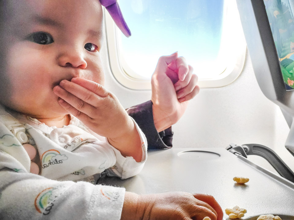 Baby Snacks on Airplane