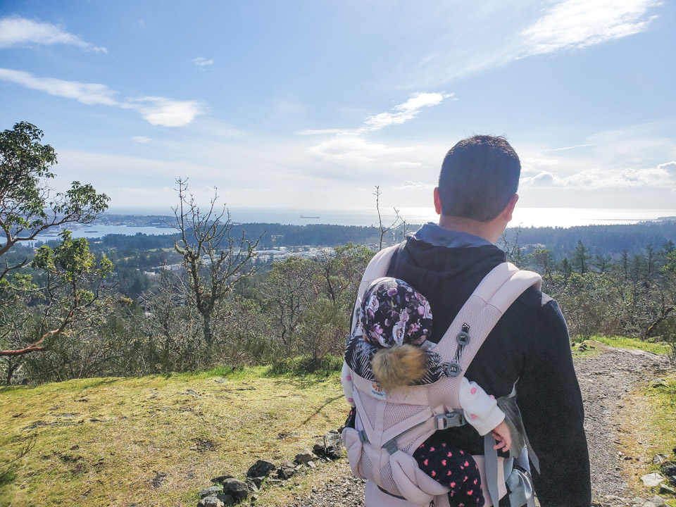 Ergobaby Omni 360 Carrier for Traveling