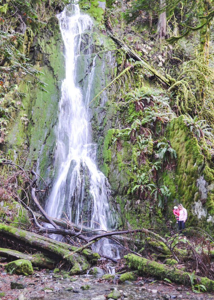 Bridge Falls in Winter