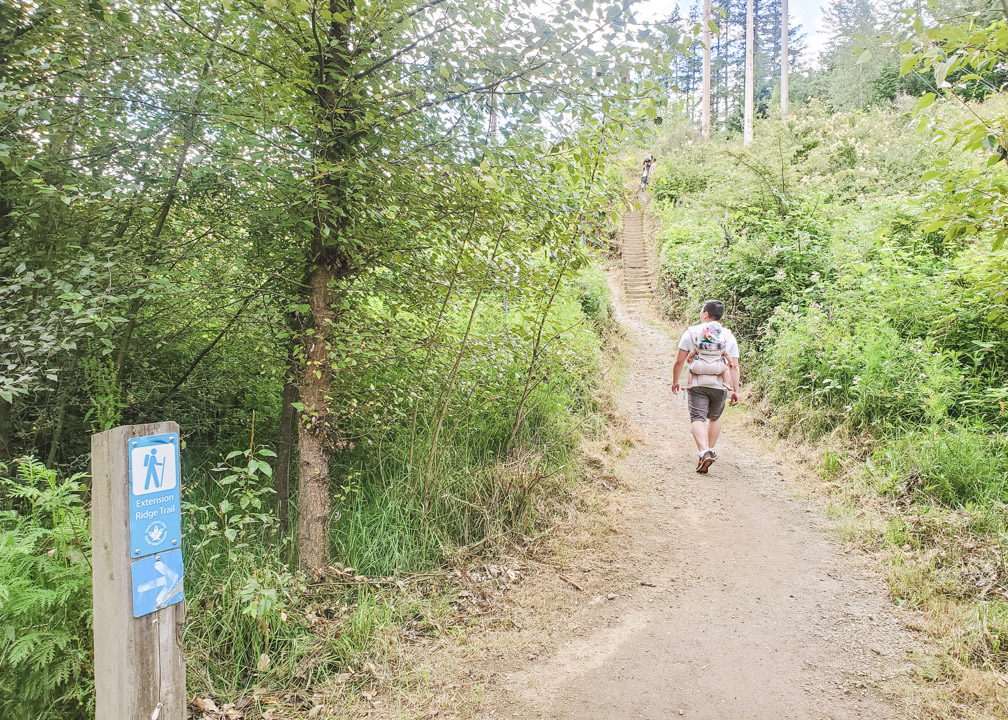 Extension Ridge Trail Stairs