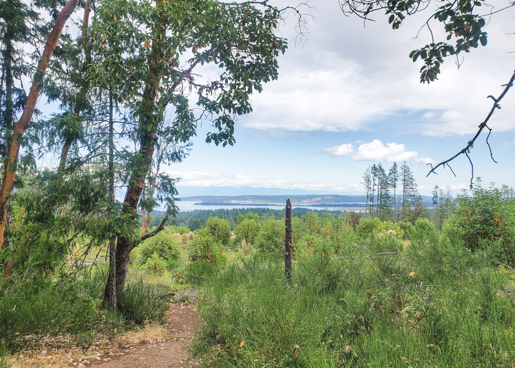 Extension Ridge Trail View