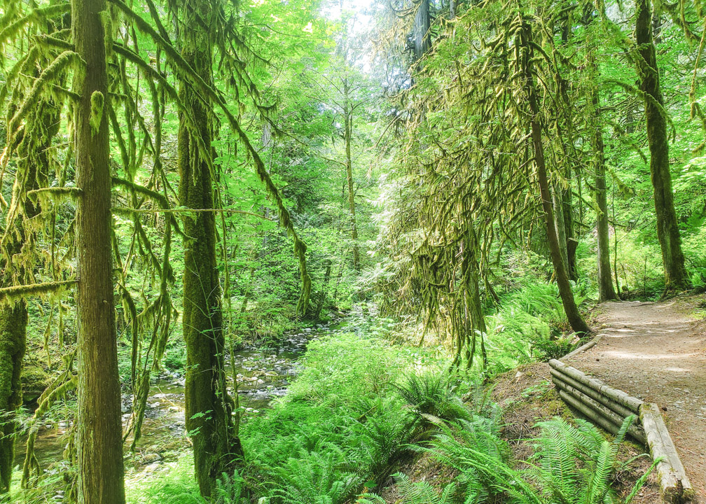 Goldstream Falls Trail