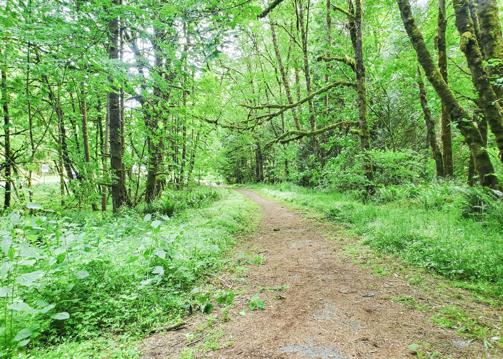 Hidden Spring Falls Trail