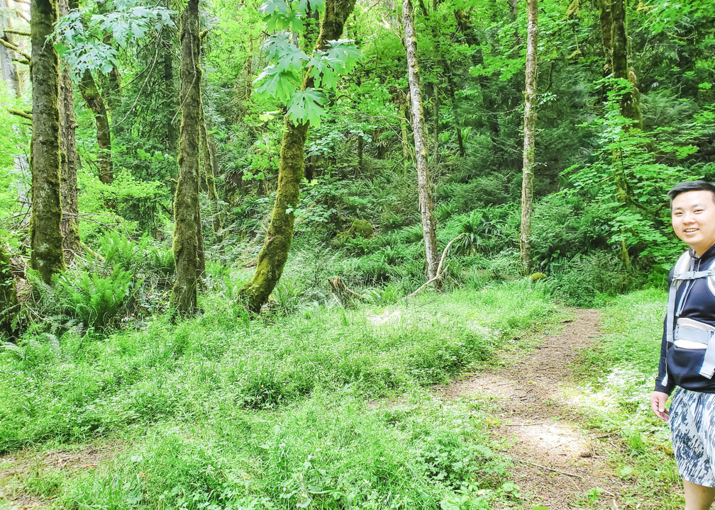 Hidden Spring Falls Trail