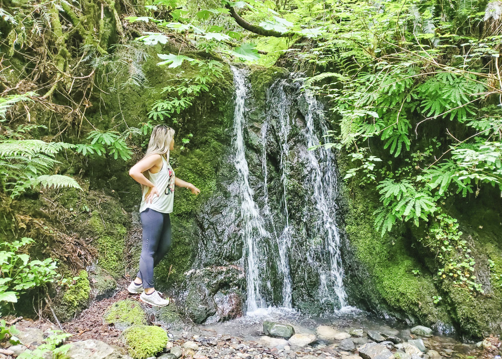 Hidden Spring Falls Victoria BC Waterfalls