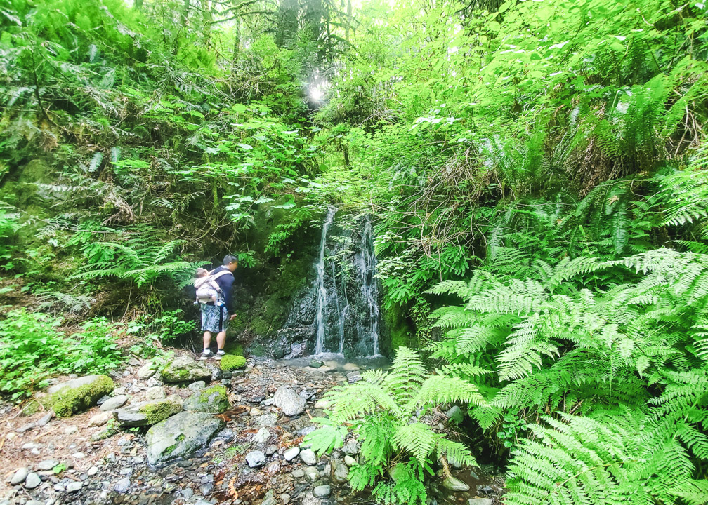 Hidden Spring Falls Victoria BC