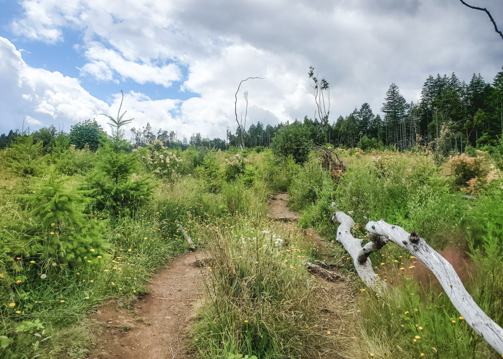 Hiking to The Abyss Nanaimo