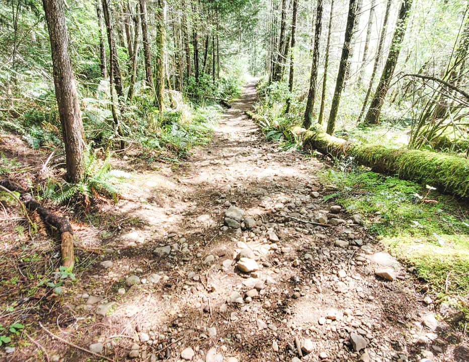 Mary Vine Falls Trail