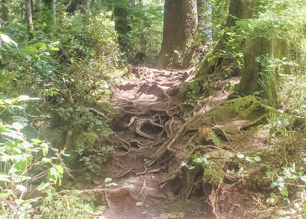 Sandcut Beach Trail