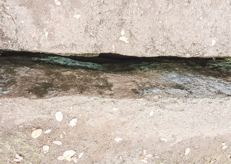 Guide to Visiting The Abyss in Nanaimo - Solemate Adventures