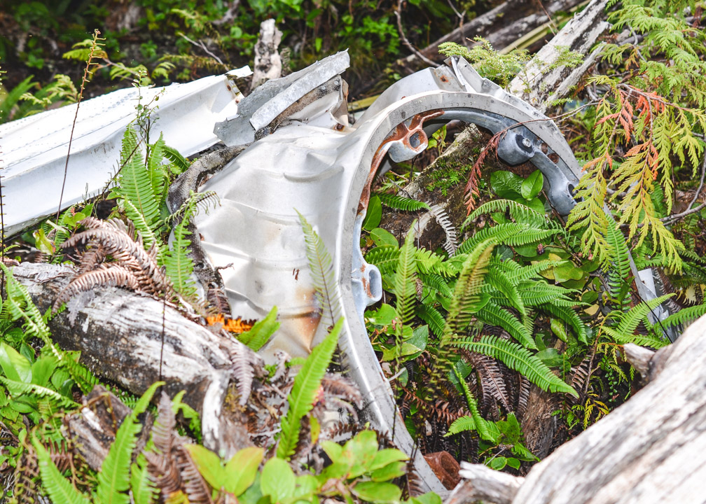 Port Hardy Plane Crash Pieces