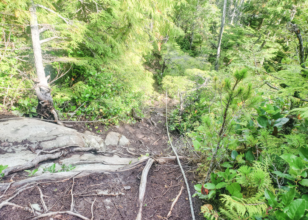 Port Hardy Plane Crash Rope Section