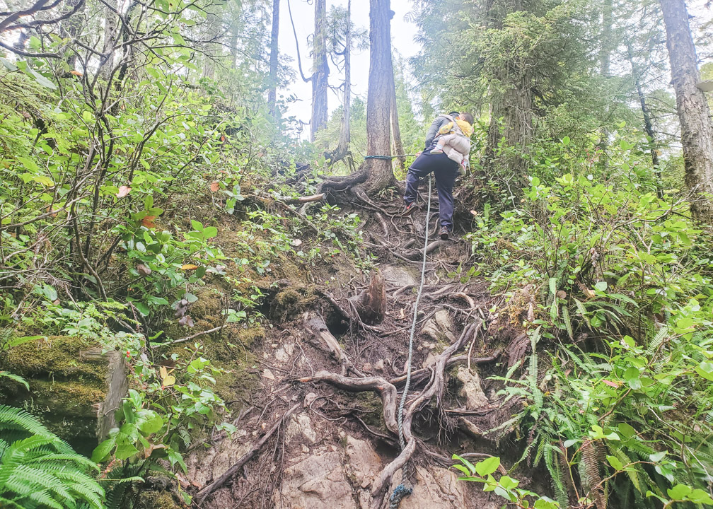 Port Hardy Plane Crash Rope Section