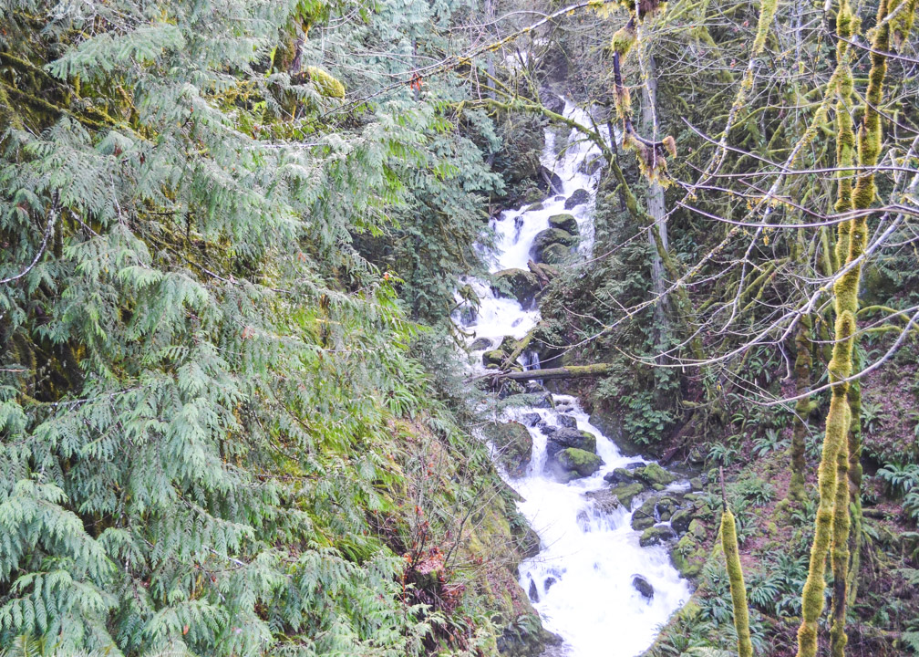 Waugh Falls in Winter