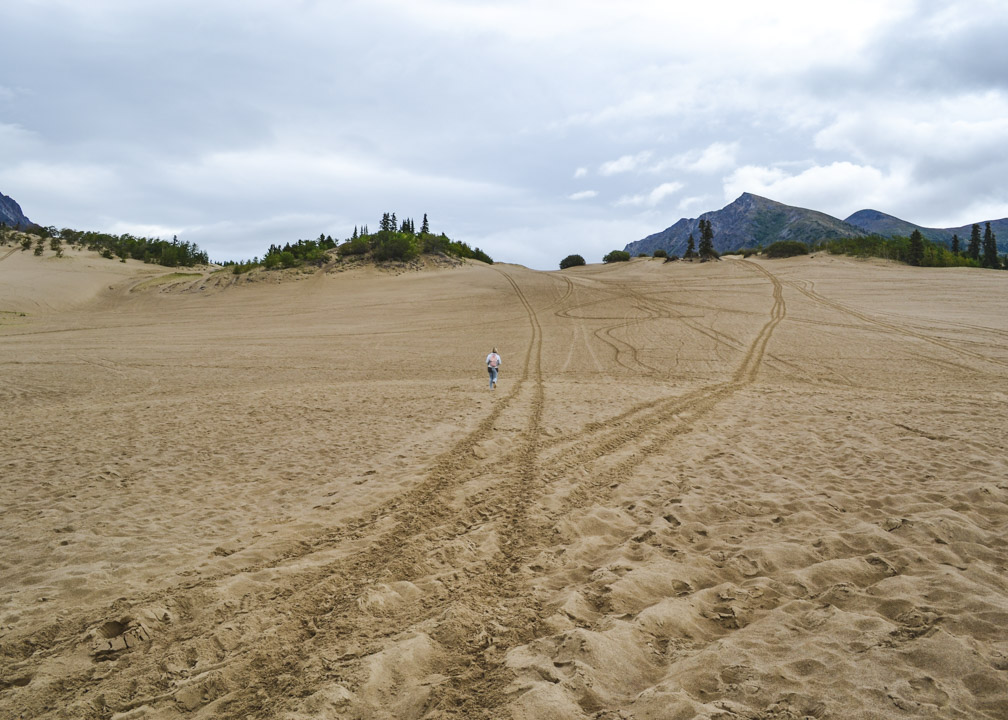 Carcross Desert Yukon Summer