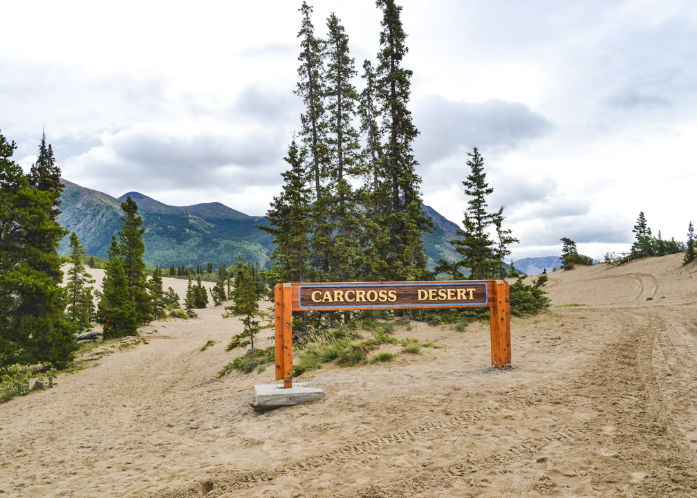 Carcross Desert Yukon Summer