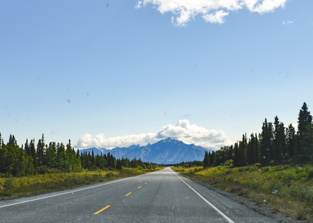 Yukon Summer Scenery