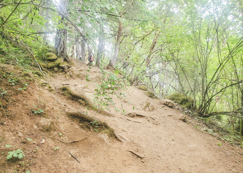 Holmes Peak Hike