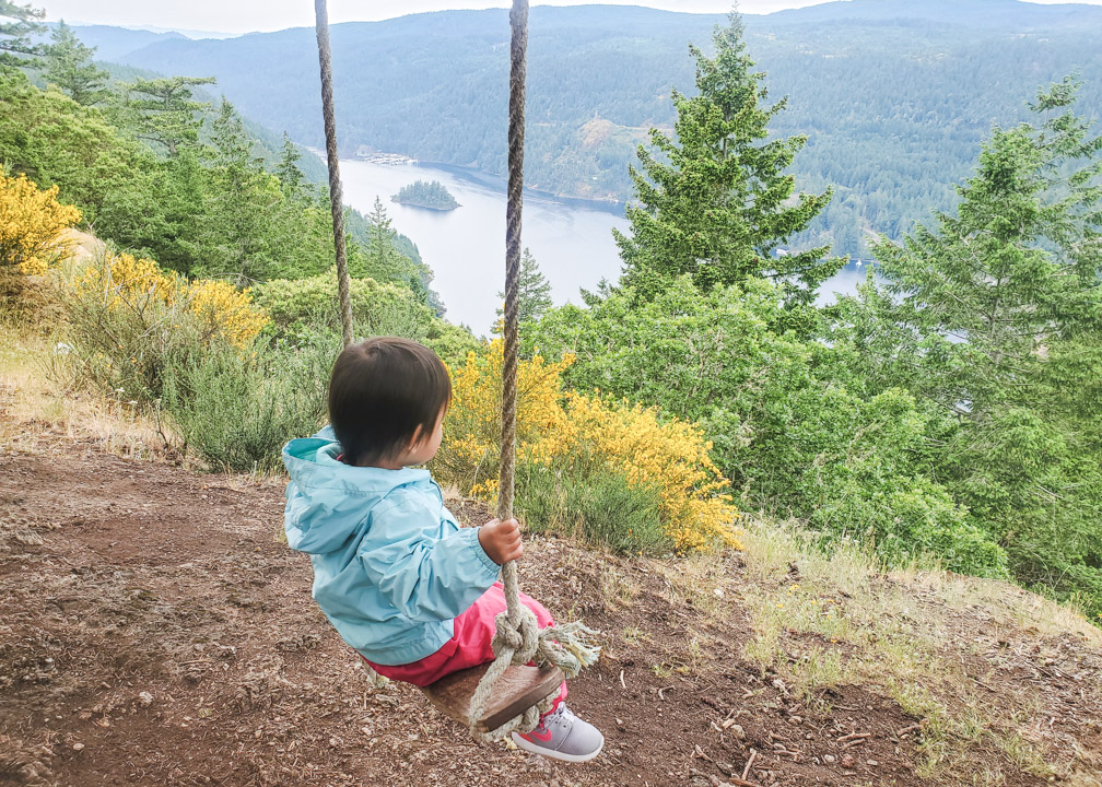 Holmes Peak Swing