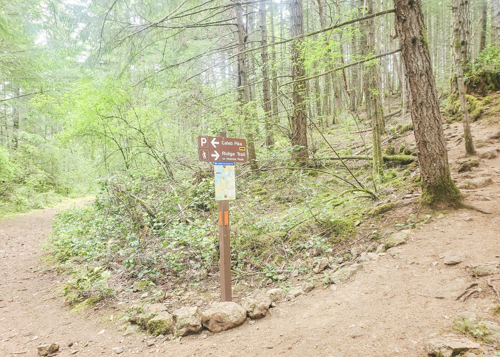 Trail Sign for Holmes Peak